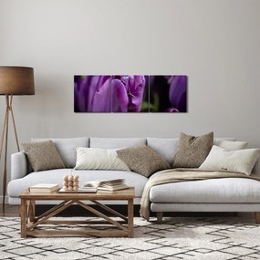 Obraz kwiatów tulipanów (z zegarem) (90x30 cm)