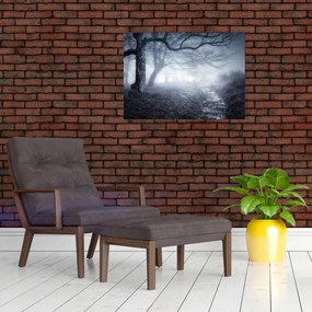 Obraz- Droga we mgle (70x50 cm)