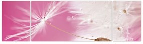 Obraz - Makro kwiat (170x50 cm)