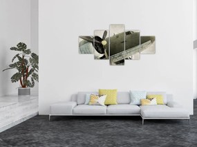 Obraz - Stary samolot śmigłowy (125x70 cm)