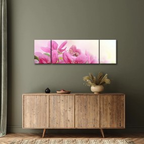 Obraz - Różowe kwiaty (170x50 cm)