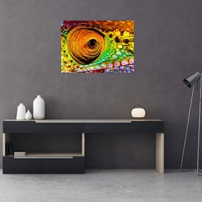 Obraz - Kameleon (70x50 cm)