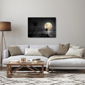 Obraz na szkle - Plaża pod pełnią księżyca w odcieniach szarości (70x50 cm)