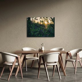 Obraz słońca przeświecającego przez gałęzie drzew (70x50 cm)