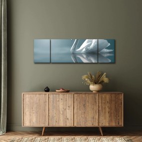Obraz - Biały łabędź (170x50 cm)