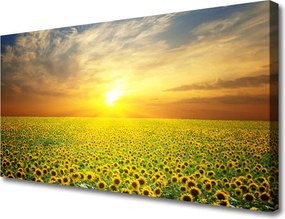 Zdjęcie na płótnie Słoneczniki na Słonecznej Polanie