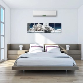 Obraz - Śnieżnobiałe drzewa (170x50 cm)