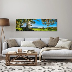 Obraz - widok pola (170x50 cm)