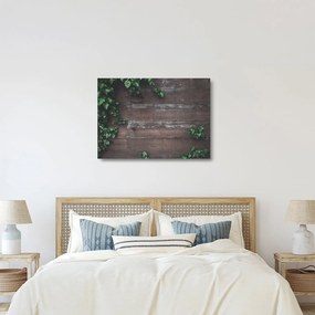 Obraz na szkle - Bluszcz (70x50 cm)