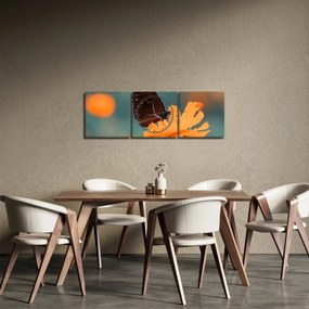 Obraz - motyl na pomarańczowym kwiatku (z zegarem) (90x30 cm)