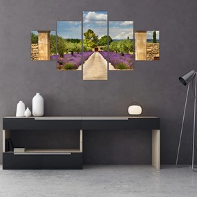 Obraz - Lawendowe ścieżki (125x70 cm)