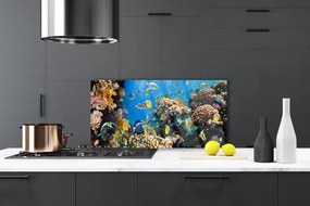 Szkło Ozdobne do Kuchni Barwne Życie Rafy Koralowej