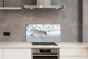 Panel Szklany Wilk zima las