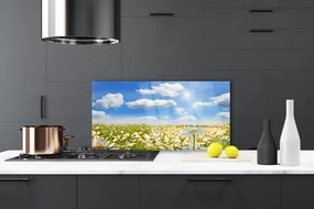 Panel Szklany Białe Stokrotki w Zieleni