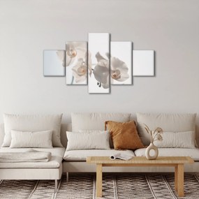 Obraz białej orchidei (125x70 cm)