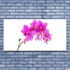 Obraz Szklany Storczyk Kwiat Orchidea