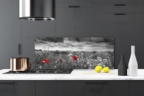 Panel Szklany Sielska Polana Kwiatowa