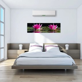 Obraz lilii wodnych na wodzie (170x50 cm)