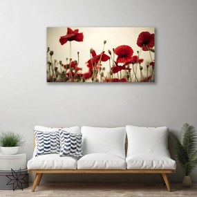 Obraz na płótnie Polne Maki w Rozkwicie