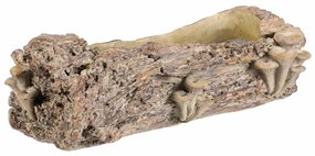 Opakowanie betonowe - skrzynka, drewno z grzybami,49 x 21 x 15 cm