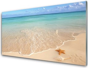 Szkło do Kuchni na Ścianę Rozgwiazda Na Piasku