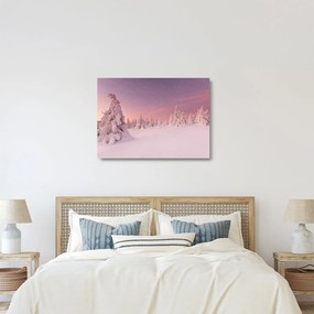 Obraz na szkle - Drzewa pod warstwą śniegu (70x50 cm)