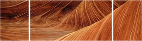 Obraz - Czerwony piasek (170x50 cm)