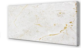 Zdjęcie na płótnie Marmur w Odcieniach Szarości