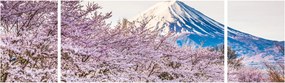 Obraz - Japonia wiosną (170x50 cm)