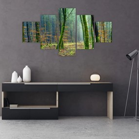 Obraz lasu (125x70 cm)