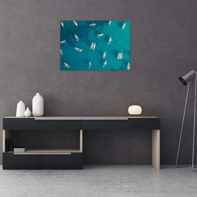 Obraz - Żaglówki (70x50 cm)