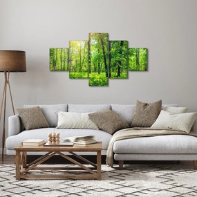 Obraz - Wiosenny las liściasty (125x70 cm)