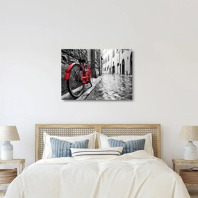 Obraz na szkle czerwonego roweru na brukowanej uliczce (70x50 cm)