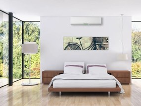 Obraz - Vintage rower z kwiatami (170x50 cm)