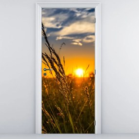 Fototapeta na drzwi - Pole o zachodzie Słońca (95x205cm)