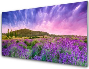 Szkło do Kuchni na Ścianę Alpejska Łąka W Kwiatach