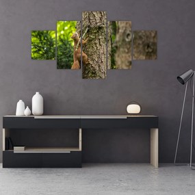 Obraz - wiewiórka (125x70 cm)