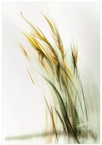 Elegancki obraz traw do wnętrz w stylu japandi i modern organic Trawy, Seria Ulotna | Anna Borkowska
