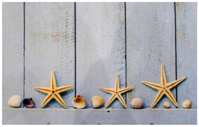 Wycieraczka Deco Star Rozgwiazdy 40 cm x 60 cm