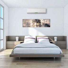 Obraz drzewa we mgle (170x50 cm)