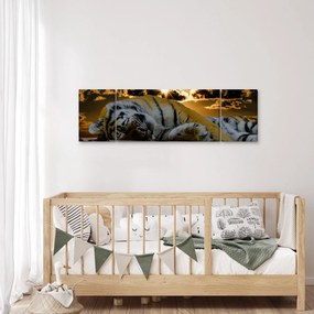 Obraz śpiącego tygrysa (170x50 cm)