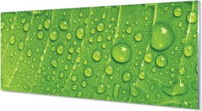 Szklany Panel Makro Detal Liścia z Rosą