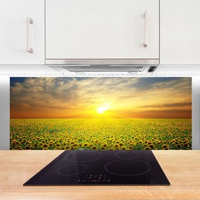 Panel Szklany Słoneczniki Na Słonecznej Polanie