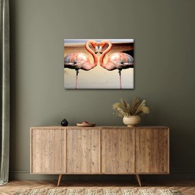 Obraz - dwa flamingi (70x50 cm)
