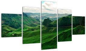 Obraz - Plantacje herbaty w Malezji (125x70 cm)