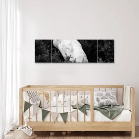 Obraz - Paw, czarno - biały (170x50 cm)