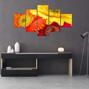 Obraz - Kwiaty Gerbery (125x70 cm)