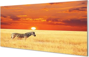 Panel nad Blat Kuchenny Zebra o Zachodzie Słońca