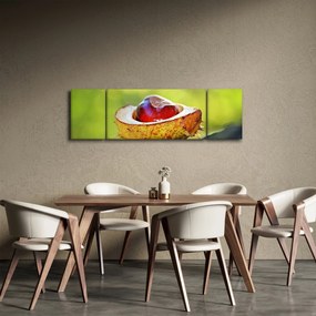 Obraz kasztanowów (170x50 cm)