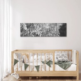 Obraz - Las świerkowy (170x50 cm)